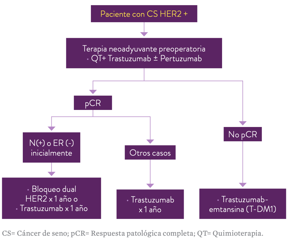 Figura 1. Algoritmo para la selección de la terapia anti HER2 en pacientes con cáncer de seno temprano HER2 positivo, según la guía vigente de ESMO.23